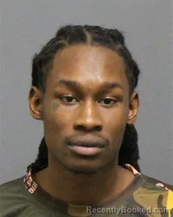 Mugshot of ASAVIAN DANZANIK WHITE
