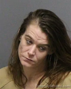 Mugshot of ASHLEY DAWN WILLIAMS booked in Guilford County, North Carolina on June 28, 2026