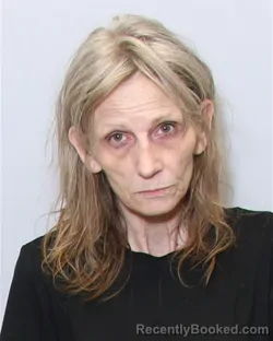 Mugshot of ANNISA RADIE WILLIAMS booked in Guilford County, North Carolina on June 20, 2026