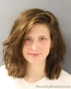 Booking photo from Guilford County, North Carolina