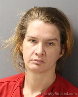 Mugshot of BRITTNEY NICOLE BROCKMAN