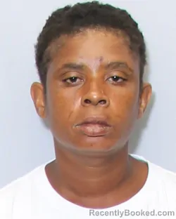 Mugshot of Brittney Danielle Gainey booked in Guilford County, North Carolina on August 28, 2026