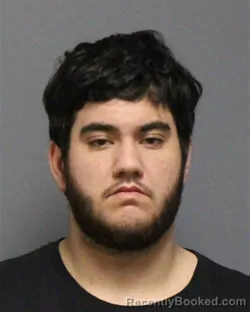 Mugshot of BRIAN LUKE JOSEPH RODRIGUES