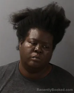 Mugshot of Brittany Sheree Robinson booked in Guilford County, North Carolina on September 14, 2026