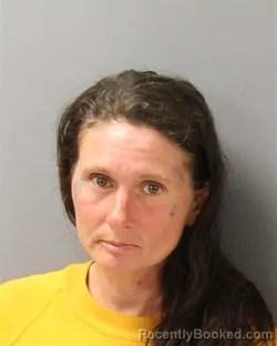 Mugshot of BRANDI MICHELLE SHAMBLEY booked in Guilford County, North Carolina on March 14, 2026