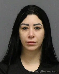 Mugshot of CARMEN KEREN ESTEVEZ-MULEN