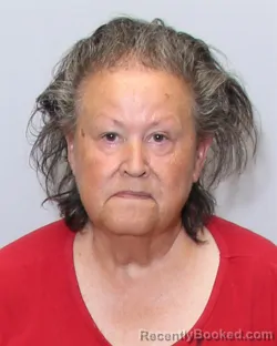 Mugshot of CYNTHIA GAIL GEROMETTA booked in Guilford County, North Carolina on June 27, 2026