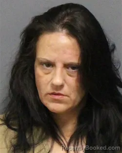 Mugshot of CHASITY DAWN HUTSON booked in Guilford County, North Carolina on March 21, 2026