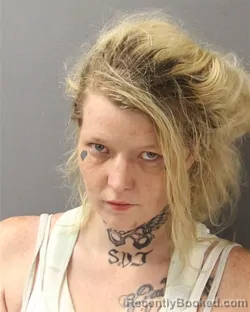 Mugshot of CIERRA PENNY HORNE booked in Guilford County, North Carolina on July 11, 2026