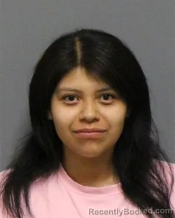 Mugshot of CLARISBETT PALACIOS booked in Guilford County, North Carolina on April 1, 2026