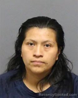 Mugshot of DIANA CORTEZ BORJA booked in Guilford County, North Carolina on June 25, 2026