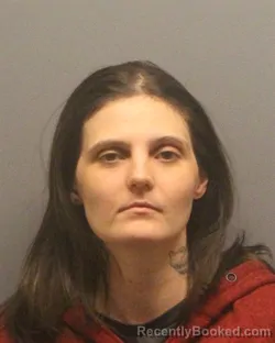 Mugshot of DAISY AMBER GOINS