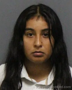 Mugshot of DAMARIS MABLE GALLEGOS-ORDONEZ booked in Guilford County, North Carolina on July 8, 2026