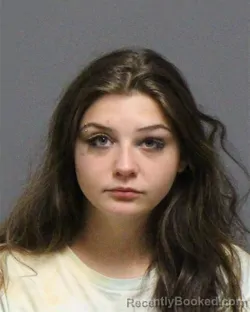 Mugshot of DELANEY ANN HUDDLESTON booked in Guilford County, North Carolina on June 22, 2026