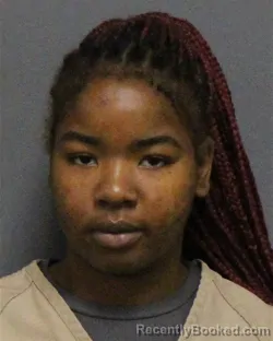 Mugshot of Deneah Marie-Lashay Howze booked in Guilford County, North Carolina on October 26, 2026