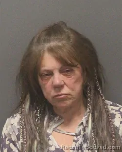 Mugshot of DENISE MARIE JOHNSON booked in Guilford County, North Carolina on May 22, 2026