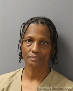 Mugshot of DELORES ANN MITCHELL booked in Guilford County, North Carolina on June 19, 2026