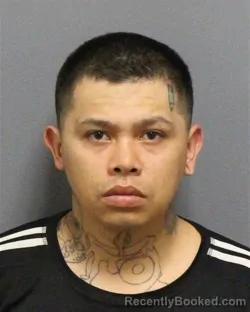 Mugshot of DANIEL PICHARDO-TAPIA booked in Guilford County, North Carolina on May 24, 2026