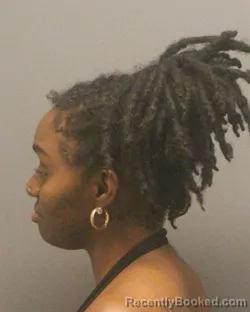 Mugshot of DANASHA SEBREA SOUTHERN booked in Guilford County, North Carolina on June 28, 2026