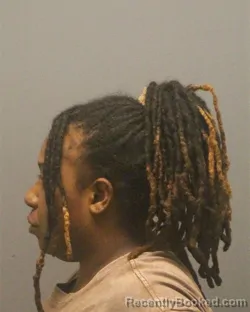 Mugshot of DAWN MARIE WILSON booked in Guilford County, North Carolina on March 29, 2026