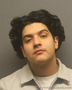 Mugshot of ENRIQUE ARROYO