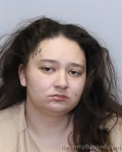 Mugshot of ERICA SHYANN JACOBS booked in Guilford County, North Carolina on March 25, 2026