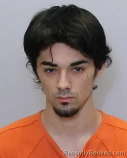 Mugshot of FRANKLYN GEORGE JAYLEN SHIVE booked in Guilford County, North Carolina on March 23, 2026