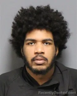 Mugshot of GARRISON JOEL HARRIS