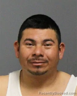 Mugshot of GUILLERMO OSWALDO MARTINEZ-RAMIREZ