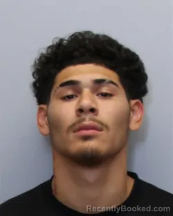 Mugshot of GIOVANNI ANDRES SANTOS