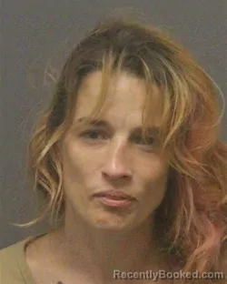 Mugshot of HEATHER EMILE LAROSE booked in Guilford County, North Carolina on June 28, 2026