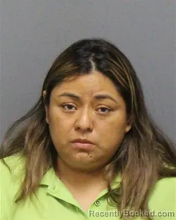 Mugshot of HILDA ILSA LOPEZ-CHILEL booked in Guilford County, North Carolina on June 29, 2026