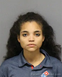 Mugshot of IVY BEATRIZ BARRETO booked in Guilford County, North Carolina on March 28, 2026