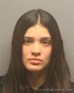 Mugshot of ILEANELLY CARRERO booked in Guilford County, North Carolina on March 22, 2026