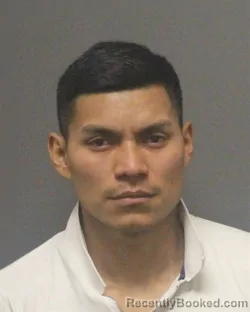 Mugshot of JOSE DIAZ-TELLEZ