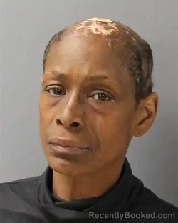 Mugshot of JOHANNA BELLA DICKERSON booked in Guilford County, North Carolina on July 1, 2026