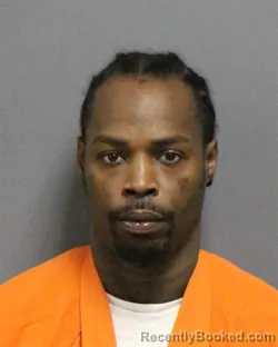 Mugshot of JOE IRA DOWELL