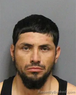 Mugshot of JESUS GUZMAN RAMIREZ