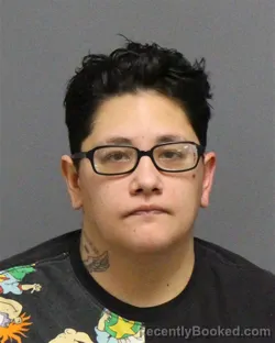 Mugshot of JULIE MARIE VILLEGAS