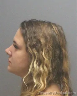 Mugshot of Kirsten Chase Anast booked in Guilford County, North Carolina on September 12, 2026