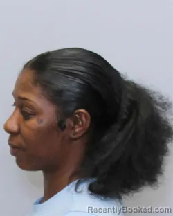 Mugshot of KANESHA NICOLE BAILEY booked in Guilford County, North Carolina on March 31, 2026