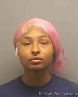 Mugshot of KASEY MARIE DIGGS booked in Guilford County, North Carolina on March 26, 2026