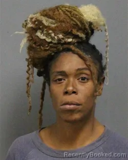 Mugshot of KENNITA ELIZEBETH MCCOLLUM
