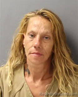 Mugshot of KATHY ANN REYNOLDS booked in Guilford County, North Carolina on July 4, 2026