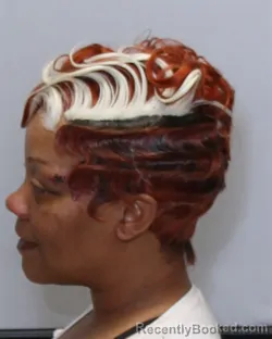 Mugshot of KIMBERLY LOUISE VERDELL booked in Guilford County, North Carolina on March 26, 2026