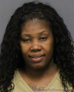 Mugshot of KYLA CHRISTE WILSON booked in Guilford County, North Carolina on March 17, 2026