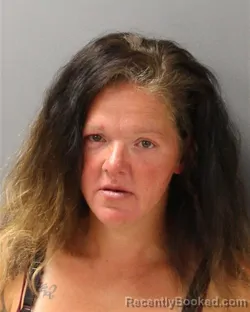 Mugshot of KENDRA DAWN WILSON booked in Guilford County, North Carolina on June 25, 2026