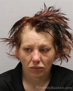 Mugshot of KIMBERLYN KEELIE WESTBROOK