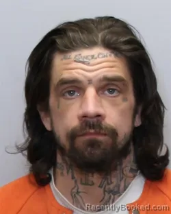 Mugshot of LARRY STEVENSON AVANT