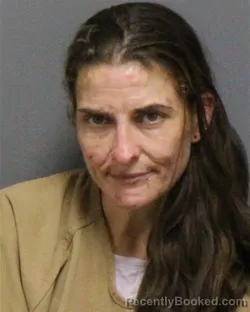Mugshot of LESLEYANN IADAROLA booked in Guilford County, North Carolina on June 23, 2026